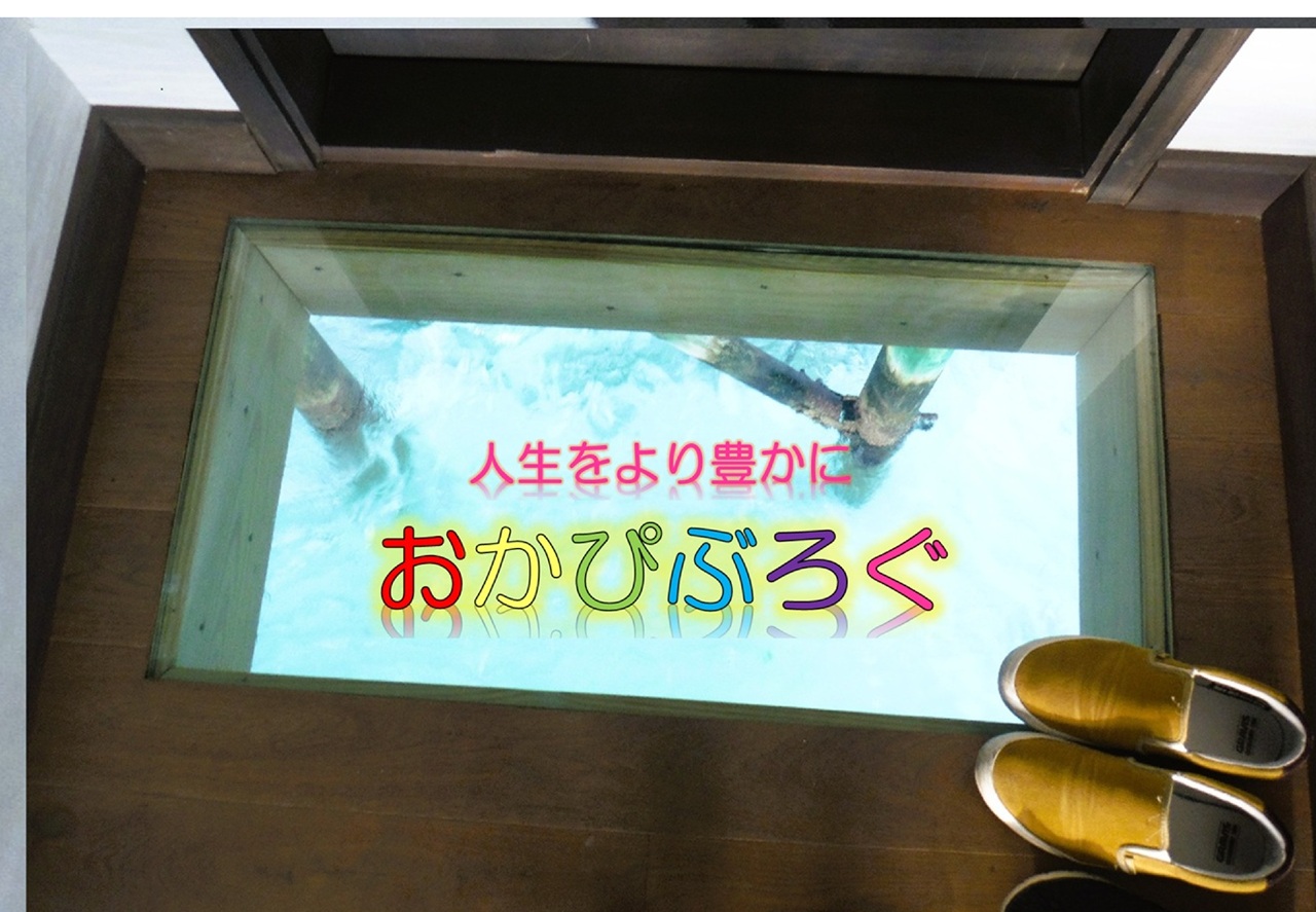 おかぴぶろぐ